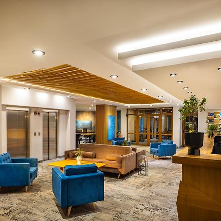 Coliving Bansko, The Social Hotel By Networking Premium 班斯科 外观 照片