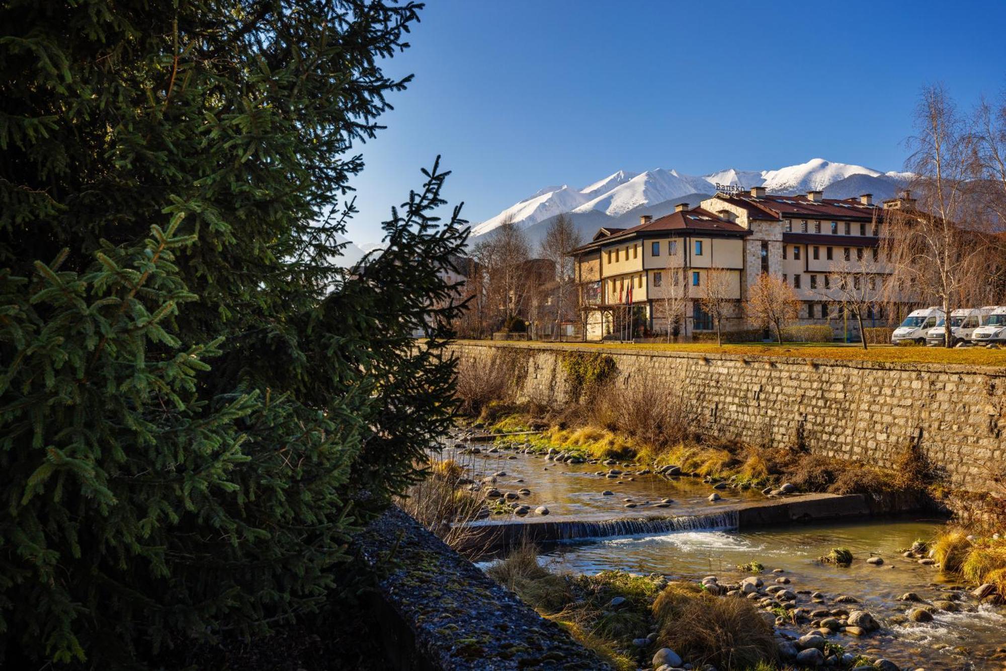 Coliving Bansko, The Social Hotel By Networking Premium 班斯科 外观 照片